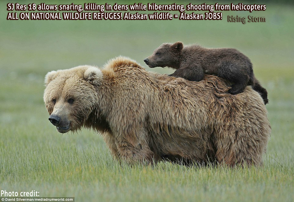 SJRes 18 kills AK jobs, AK wildlife, AND opens up public lands to exploitation!